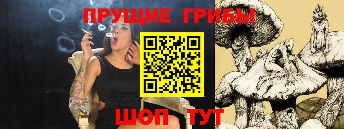 Еманжелинск  Галлюциногенные грибы Cubensis  Вход с VPN  Псилоцибиновые грибы мицелий 
