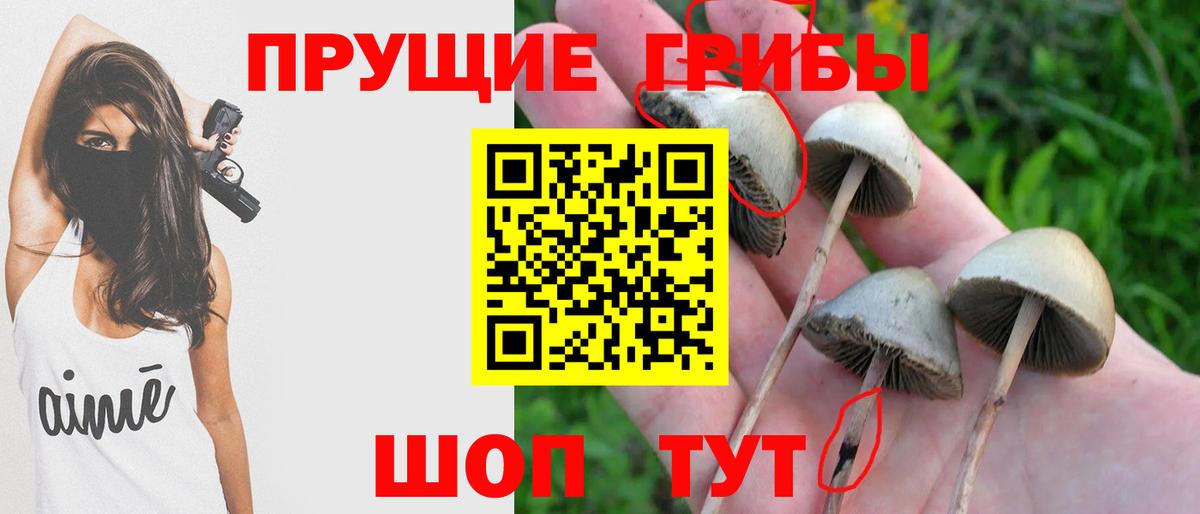 Галлюциногенные грибы MAGIC MUSHROOMS Еманжелинск
